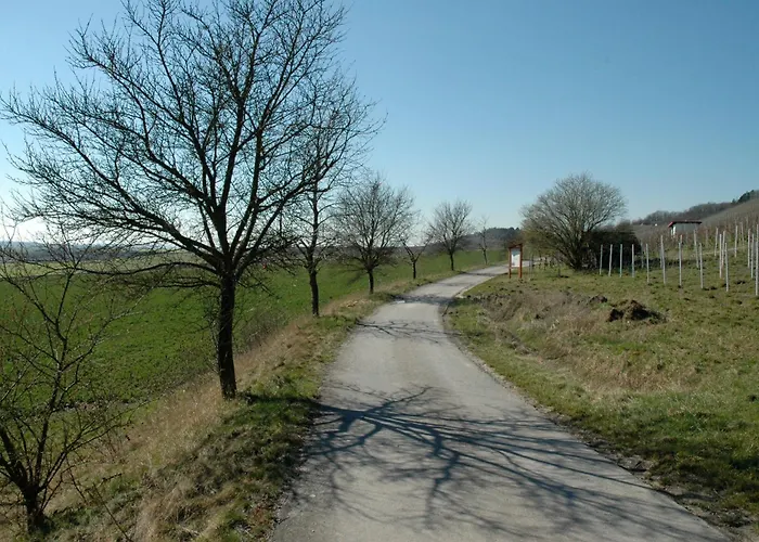 Landgasthof Zum Schwarzen Adler